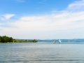 MDF_5748