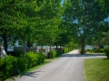 MDF_5777
