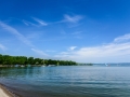 MDF_5747