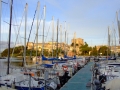 DSCF0459