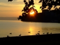 DSCF1742